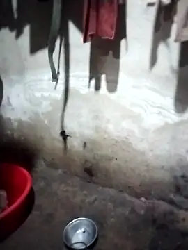 Snapshot of iam-eli chatting on January 14, 2026, 12:31 pm iam-eli online show from January 14, 2026, 12:31 pm