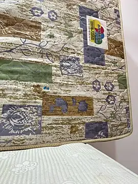 Snapshot of Dahan99346 chatting on December 20, 2025, 1:47 pm Dahan99346 online show from December 20, 2025, 1:47 pm