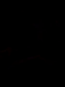 Piazza21 online show from February 8, 2026, 8:17 pm