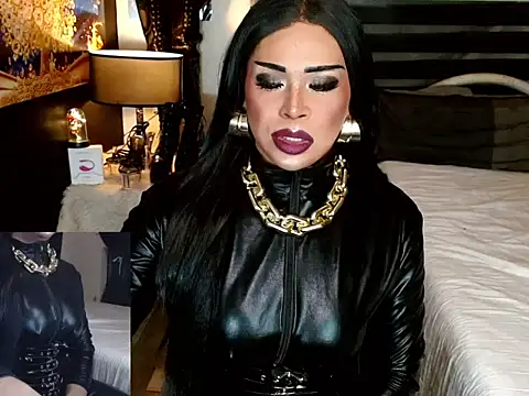 Snapshot of sheenavi chatting on February 17, 2026, 4:59 pm sheenavi online show from February 17, 2026, 4:59 pm