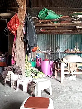 sary-hot2x online show from March 2, 2026, 4:13 am