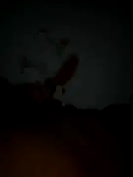 Pascarbo 00 online show from December 19, 2025, 2:04 am