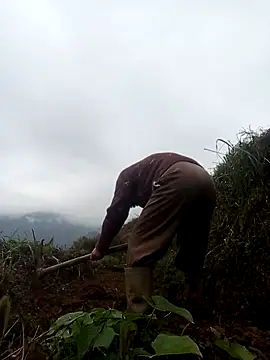 Snapshot of mon-monk chatting on December 17, 2025, 1:10 am mon-monk online show from December 17, 2025, 1:10 am