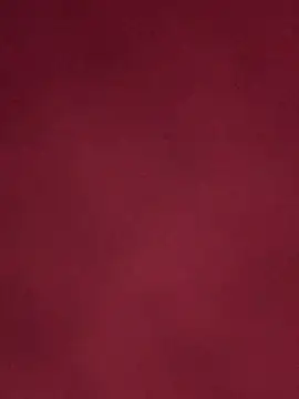 gigo-ulala online show from December 19, 2025, 4:49 am