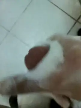 Amoooooun online show from December 17, 2025, 9:14 am