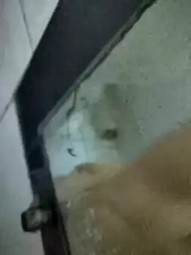 Amoooooun online show from January 15, 2026, 7:12 am