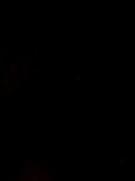 Snapshot of nehakapoor89 chatting on December 14, 2025, 7:41 pm nehakapoor89 online show from December 14, 2025, 7:41 pm