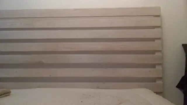 Palinchik online show from March 12, 2026, 1:48 pm