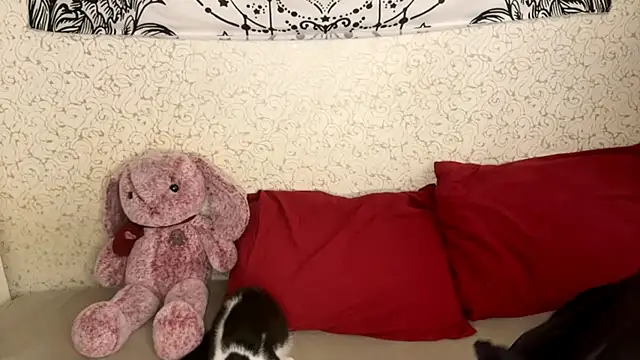 Shining Robi online show from December 18, 2025, 12:09 pm