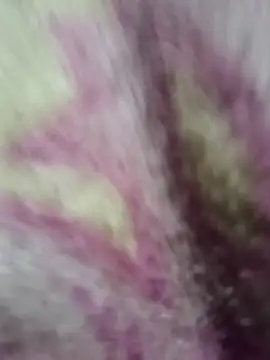 Lovely priya1001 online show from December 14, 2025, 7:30 pm