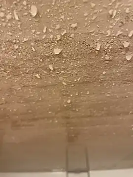 junieel online show from December 16, 2025, 11:25 am