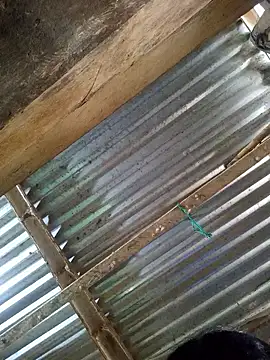 Snapshot of Rousse_uwu chatting on January 8, 2026, 5:19 pm Rousse uwu online show from January 8, 2026, 5:19 pm