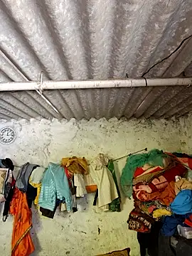 Mahi bigg online show from March 1, 2026, 9:42 am