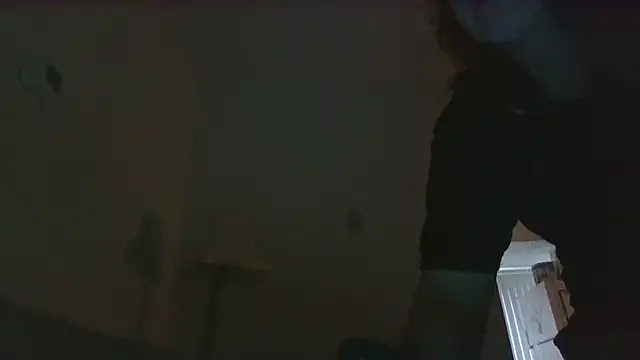 Snapshot of dixielover1229 chatting on January 8, 2026, 4:46 pm dixielover1229 online show from January 8, 2026, 4:46 pm