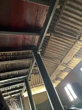 Nika-be online show from March 3, 2026, 4:19 am