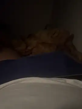 Night outcam online show from December 21, 2025, 7:48 pm