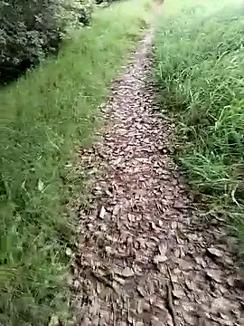 ZarayNero online show from February 20, 2026, 9:50 pm