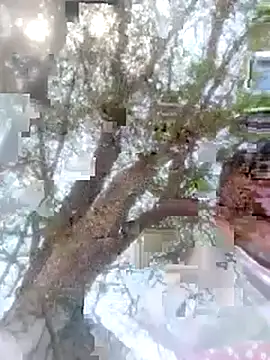 Pinki rajak online show from April 23, 2026, 7:37 am