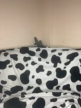 Snapshot of FOXXX_BABY chatting on February 22, 2026, 8:39 am FOXXX BABY online show from February 22, 2026, 8:39 am