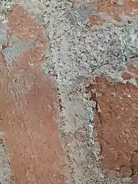 Soniya5533 online show from December 14, 2025, 9:04 am