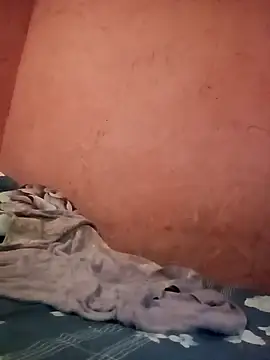 Snapshot of THErealHeat chatting on February 18, 2026, 5:38 am THErealHeat online show from February 18, 2026, 5:38 am