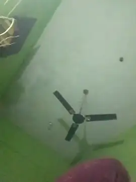 cutee bhabhi12 online show from December 17, 2025, 4:45 pm