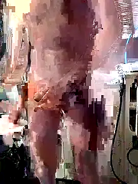 Snapshot of Quebec46 chatting on February 28, 2026, 8:14 am Quebec46 online show from February 28, 2026, 8:14 am