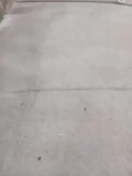 Snapshot of SnappedHagfish chatting on June 17, 2026, 5:23 pm SnappedHagfish online show from June 17, 2026, 5:23 pm