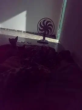 WPS15 online show from April 15, 2026, 11:27 pm