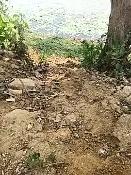 Sheela Sex90 online show from April 17, 2026, 5:32 am