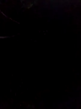 Snapshot of gingavi chatting on May 17, 2026, 1:16 am gingavi online show from May 17, 2026, 1:16 am