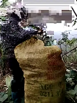 Snapshot of galaxy898 chatting on January 6, 2026, 7:34 am galaxy898 online show from January 6, 2026, 7:34 am