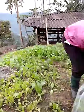 Snapshot of galaxy898 chatting on February 2, 2026, 9:41 am galaxy898 online show from February 2, 2026, 9:41 am