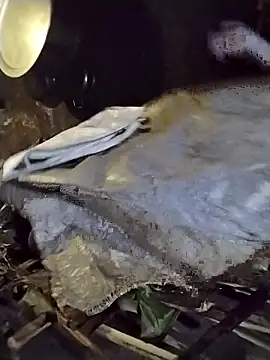 Snapshot of galaxy898 chatting on February 27, 2026, 12:38 pm galaxy898 online show from February 27, 2026, 12:38 pm