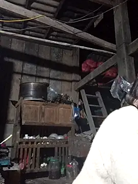 Snapshot of dakota-kis chatting on January 17, 2026, 12:42 pm dakota-kis online show from January 17, 2026, 12:42 pm