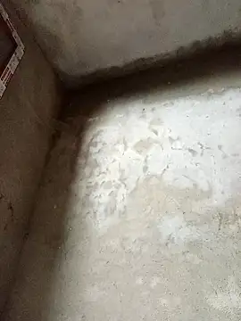 Snapshot of dakota-kis chatting on February 14, 2026, 11:49 pm dakota-kis online show from February 14, 2026, 11:49 pm