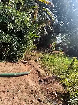 Snapshot of janbi_sexe chatting on January 14, 2026, 5:44 am janbi sexe online show from January 14, 2026, 5:44 am