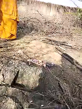 Snapshot of hornycouple20000 chatting on February 3, 2026, 9:58 am hornycouple20000 online show from February 3, 2026, 9:58 am