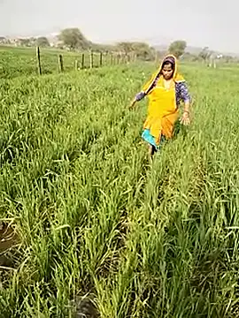 Snapshot of hornycouple20000 chatting on January 9, 2026, 5:14 am hornycouple20000 online show from January 9, 2026, 5:14 am