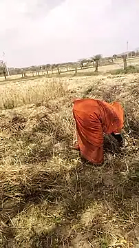 hornycouple20000 online show from March 19, 2026, 6:57 am