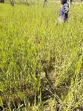 Snapshot of hornycouple20000 chatting on January 14, 2026, 7:34 am hornycouple20000 online show from January 14, 2026, 7:34 am