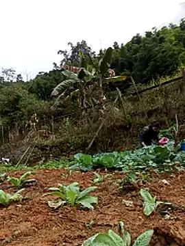 Hiniyk2 online show from February 13, 2026, 1:38 am