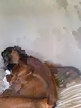 babepear online show from February 25, 2026, 6:35 am