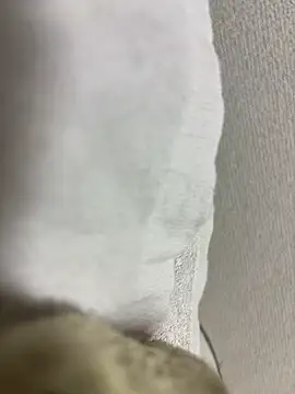 Snapshot of maonyan6 chatting on February 13, 2026, 9:31 am maonyan6 online show from February 13, 2026, 9:31 am