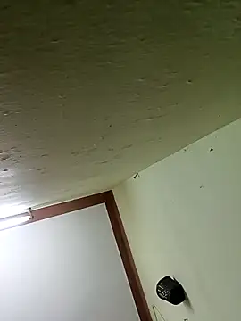 Aanurani online show from February 15, 2026, 11:09 am