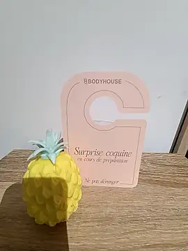 Snapshot of sexnamour chatting on January 13, 2026, 3:49 pm sexnamour online show from January 13, 2026, 3:49 pm