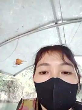 Asami 6868 online show from January 18, 2026, 3:10 am