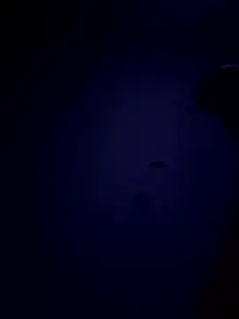 youngtwi online show from January 6, 2026, 1:20 am