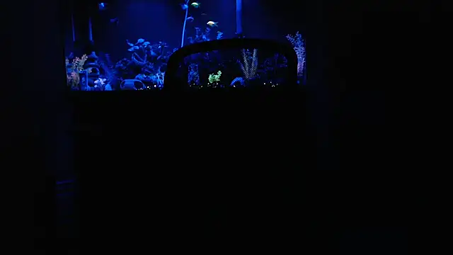 Snapshot of EspanolVato chatting on February 15, 2026, 9:30 am EspanolVato online show from February 15, 2026, 9:30 am