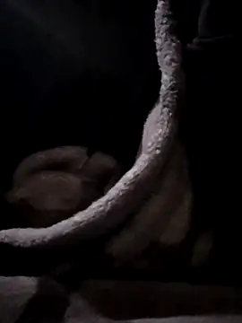 YoungAsainWithATrunk online show from January 19, 2026, 12:09 pm